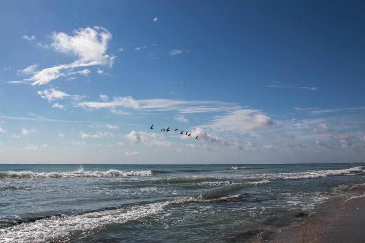 Walk To Shore Satellite Beach Condo With Ocean View ภายนอก รูปภาพ